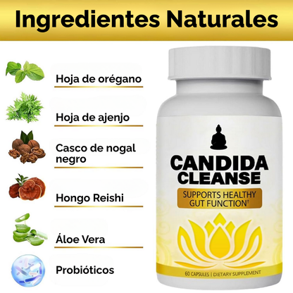 Cándida Cleanse - Libérate de la hinchazón, los gases y la fatiga.